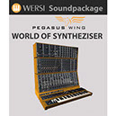 WERSI World of Synthesizer Soundpack