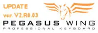 Pegasus Wing Update