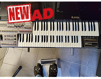 Te Koop Aangeboden Wersi Prisma DX5
