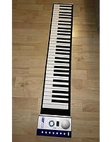 Te Koop Aangeboden Wersi opvouwbare Piano Te Koop Aangeboden Wersi opvouwbare Piano