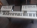 Te Koop Aangeboden Tweedehands Wersi Pegasus Wing